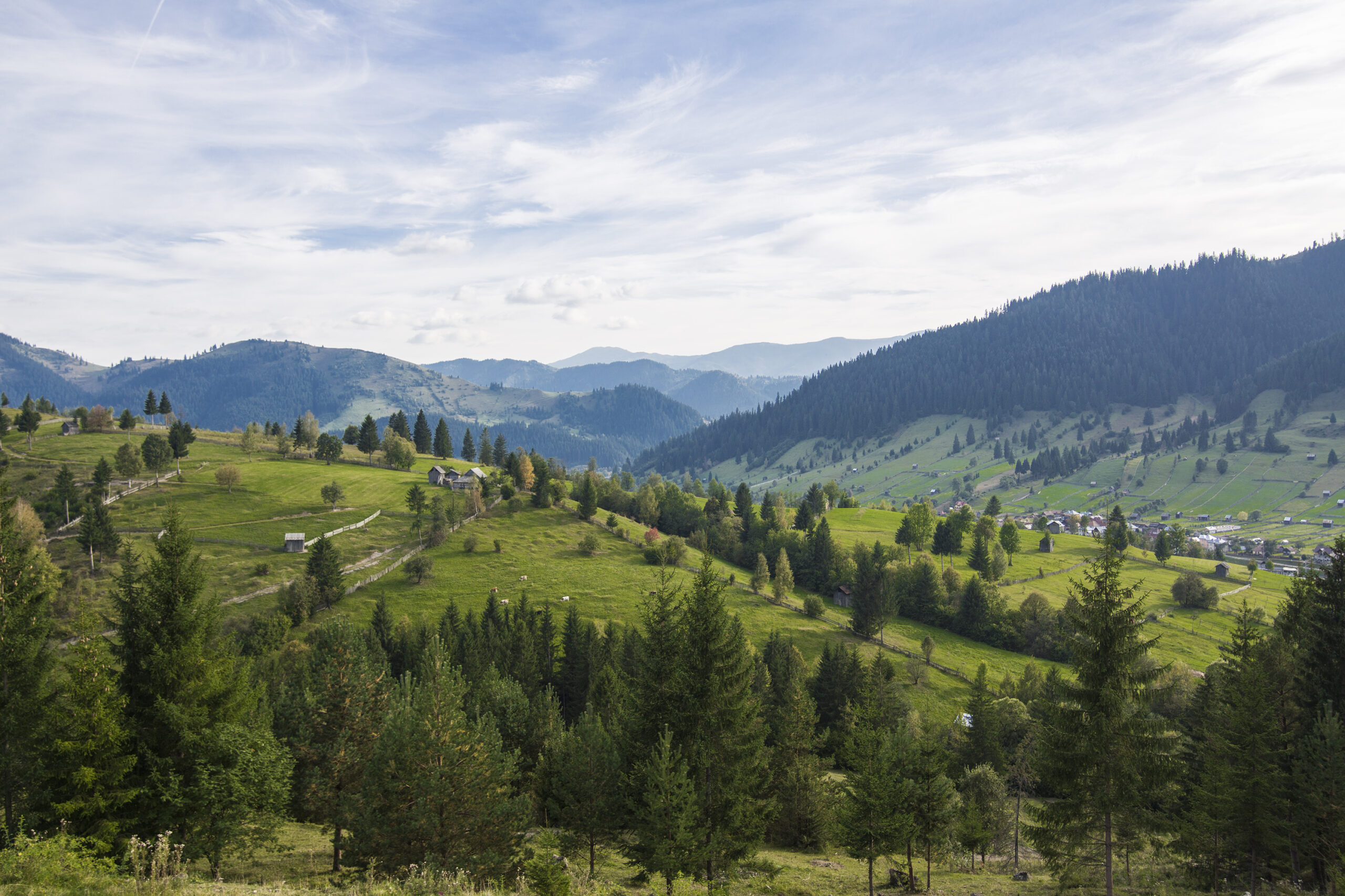 Landschaft Foto erstellt von diana.grytsku - de.freepik.com